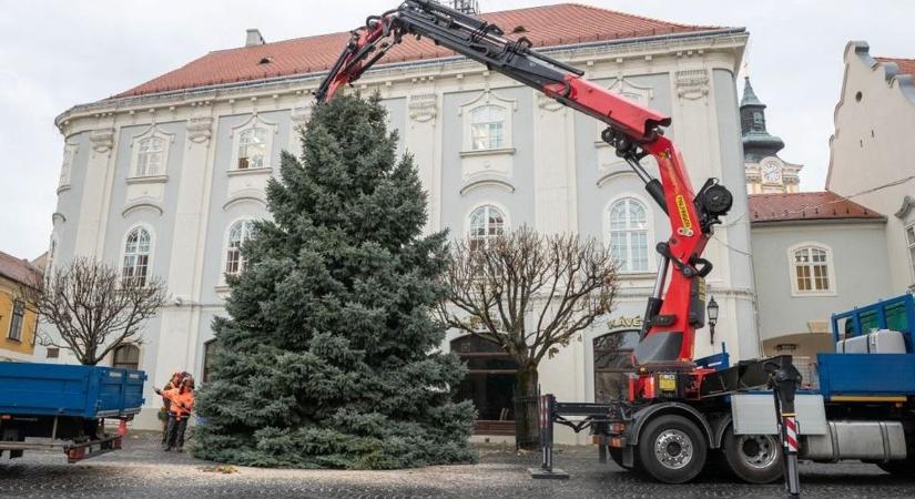 Fények le, díszek le: kiderült, mikor búcsúzik a városi fenyő