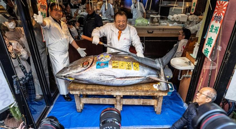 Brutális rekord: ismét szórta a pénzt a "tonhalkirály"