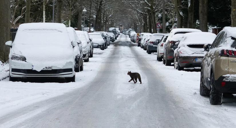 Fontos közleményt adott ki a havazás miatt a Magyar Közút