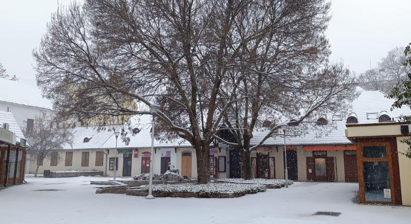 Tolnát betemette a hó, a mellékutak lassan járhatatlanok (fotókkal)