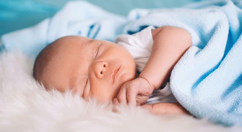 Gólyahír – újabb csöppségekkel gazdagodtunk