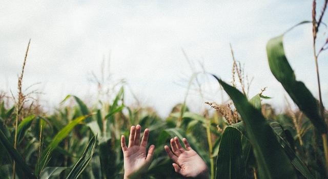 AM: január 1-től csökkennek a gazdák adó- és adminisztrációs terhei