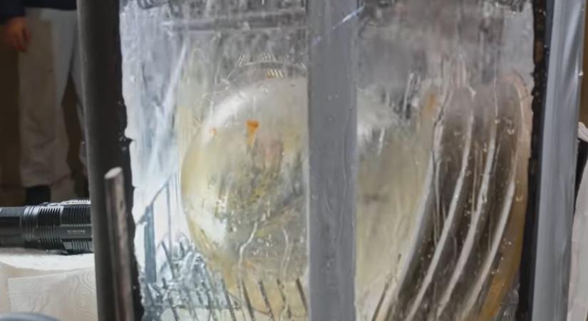 Mi történik a mosogatógép belsejében – A nap videója