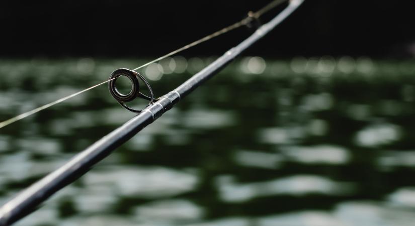 Rekord méretű halszörnyet fogott a kislány a Dunán – képek