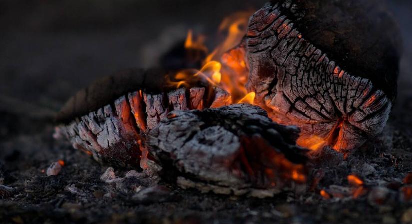 Mennyi hamu szórható ki a kertbe?