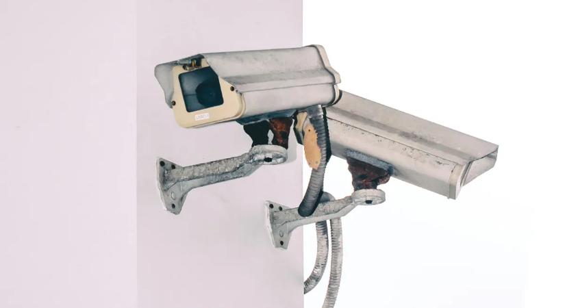 Majom tört be egy amerikai hangszerboltba – képeken a teljes káosz