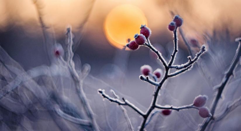 4 csillagjegy, aki vonzza a szerencsét és a pénzügyi sikert január 11-ig - a Jupiter és a Vénusz energiái most nekik kedveznek