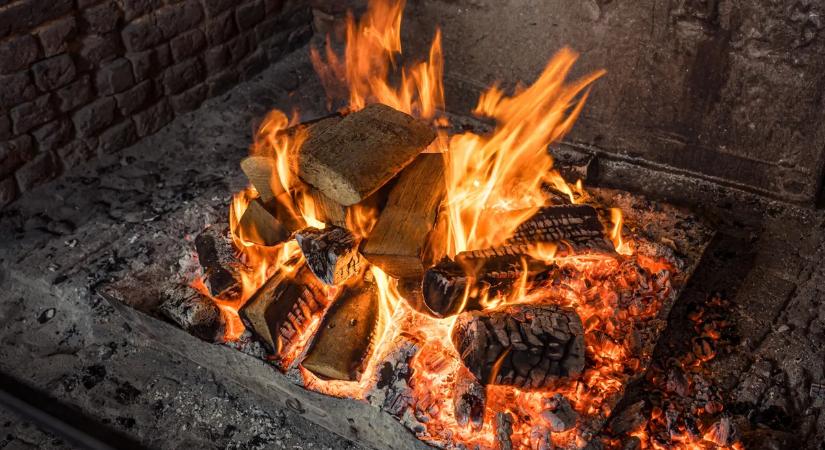 A legtöbben kidobják, pedig aranyat ér – El se hinnéd, mire jó a fahamu