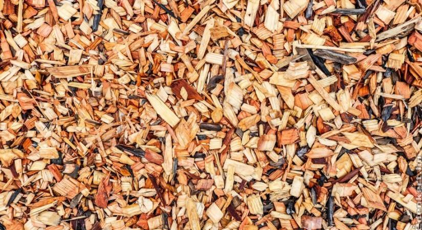 Mulcs házilag - így hasznosítsd a fenyő minden részét vízkereszt után