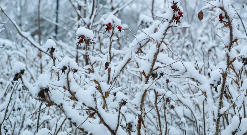Január nem az újrakezdés hónapja – és ez teljesen rendben van