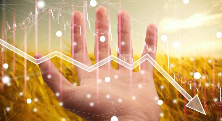 Zavaros gabonapiaci kilátások 2026-ban