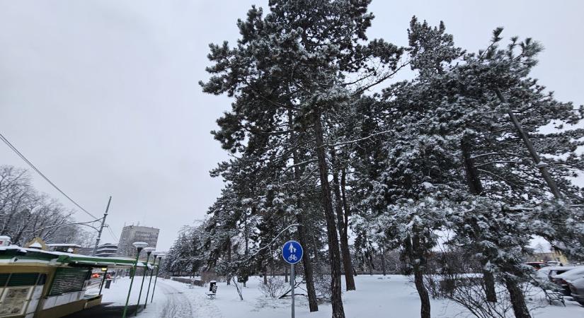 A Tündérkör Alapítvány posztját kopintotta Katona Erzsébet