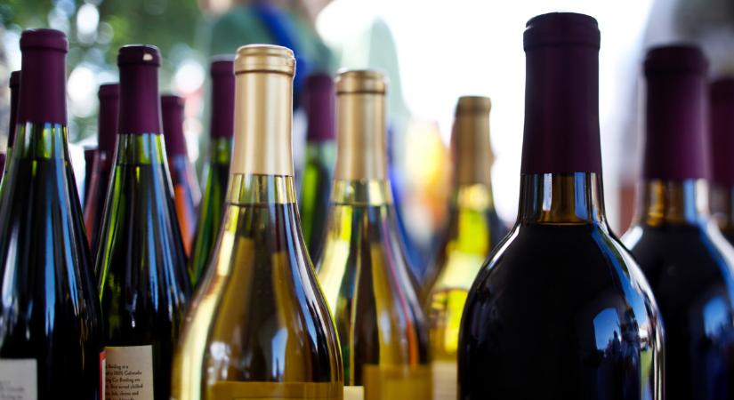 Sürgős megoldás kell a magyar borászoknak: enélkül már nem megy