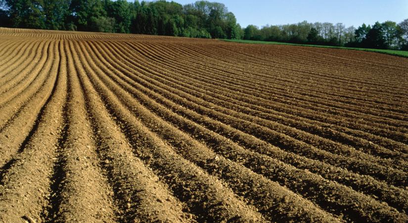 Új szabály jön a magyar földeken: erről minden gazdának tudnia kell