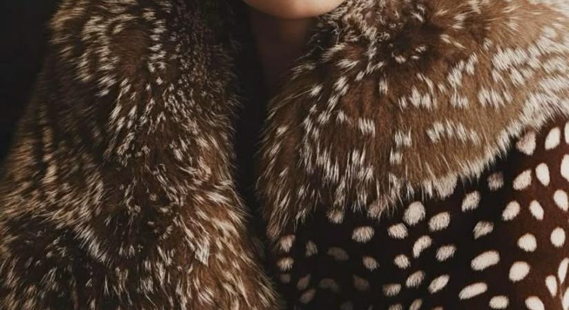 Ez az állatminta a 2026-os év legnagyobb szenzációja – már most imádjuk!