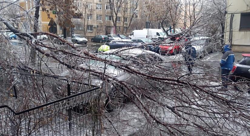 Készítsenek be élelmiszert