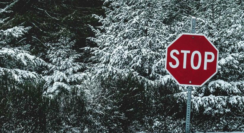 Ne edd meg, ha ebből vettél: hisztamin miatt visszahívnak egy szardellapasztát