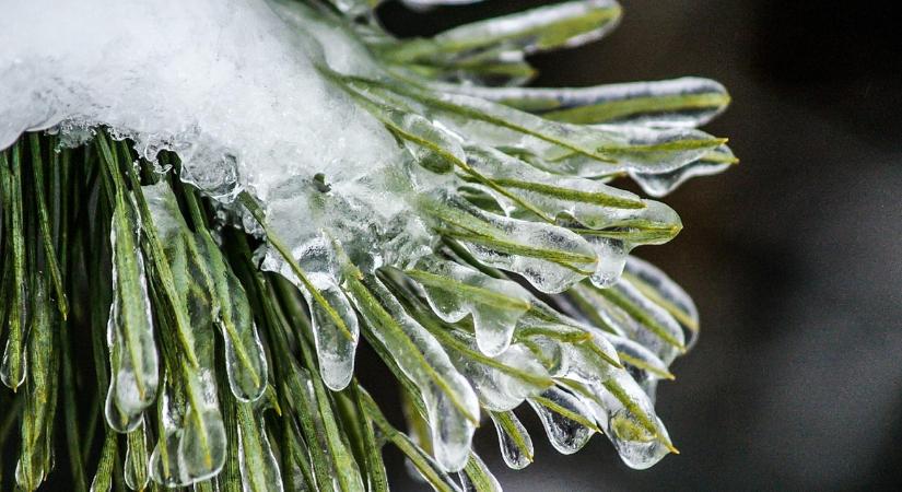 Januári jégpáncél a kertben: mikor hagyd, mikor törheted?