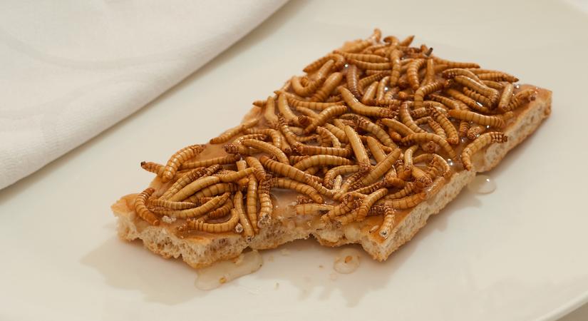 A bogárlobbi nyomul: rovarokat akarnak ránk erőltetni a „reform” nevében