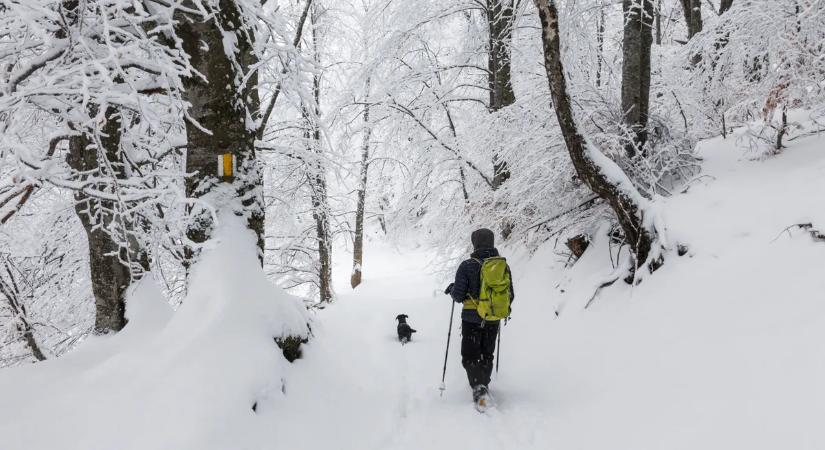 Brutális mennyiségű hó esett a Bakonyban
