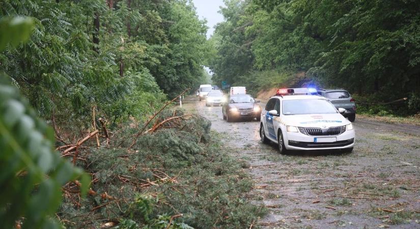 Aszály, vihar, szélsőségek: kemény év volt 2025 Hevesben