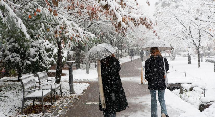 Sokan rosszul tudják: télen is gond nélkül működik a komposztálás