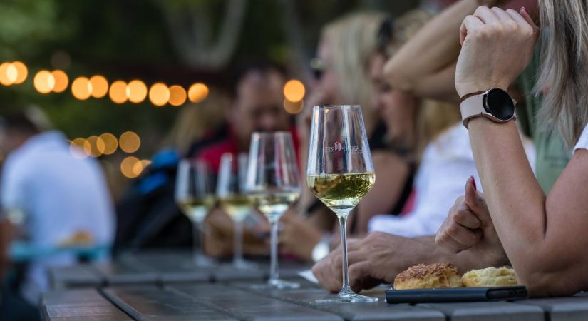 Taroltak a balatoni borászatok a Magyar Bor Nagydíjon