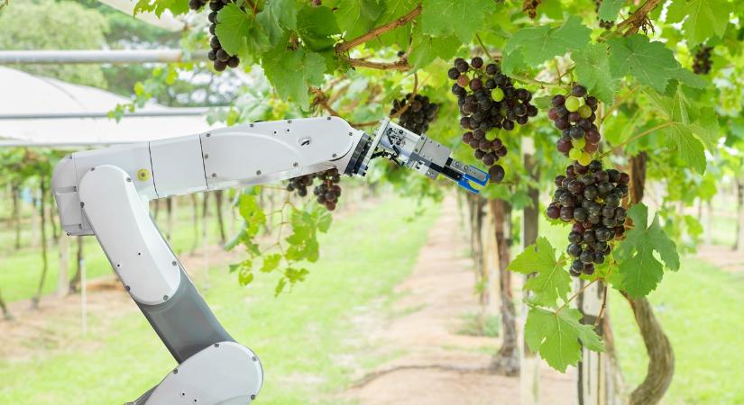 Itt a váltás ideje: a robot az "új metszőolló"