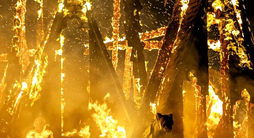 Szörnyű tragédia történt Tiszalökön