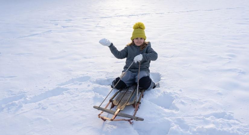 Amikor a szánkózás anyagi csőd: meghökkentő árak és különleges darabok