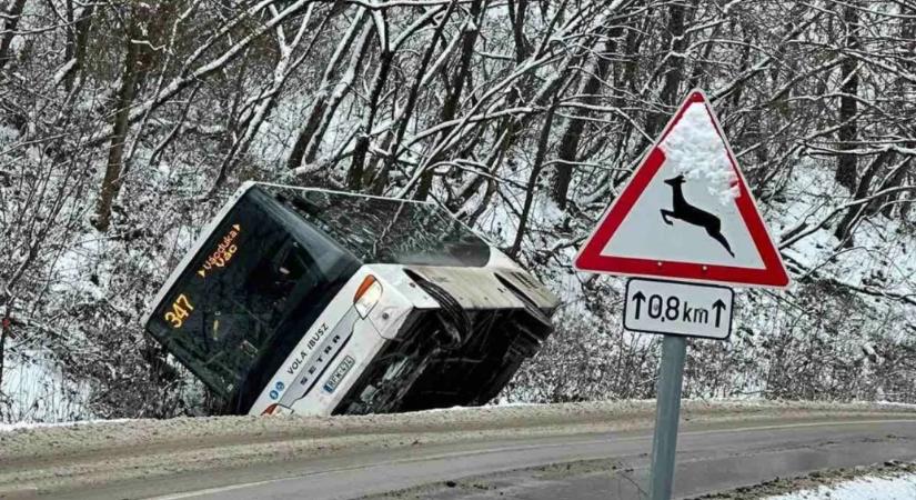 Dugólétra segítségével mentettek ki nyolc embert egy árokba csúszott buszból Vácdukán