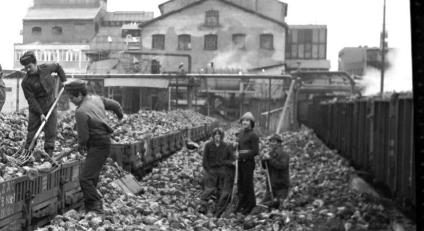 A 31-ből ez az egy maradt - egy 132 éves kaposvári gyár története