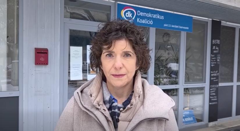 Példát mutat a DK: Dobrev Klára rendkívüli bejelentést tett a nagy havazás közepette