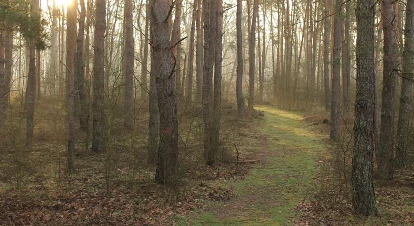 Lezárják Somogy egyik lépnépszerűbb kirándulóövezetét