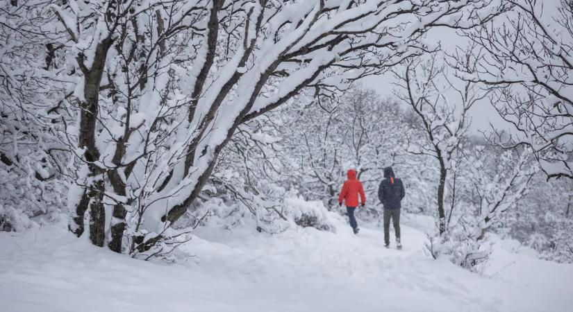 Friss havazás országszerte - képeken mutatjuk a tél csodás arcát!
