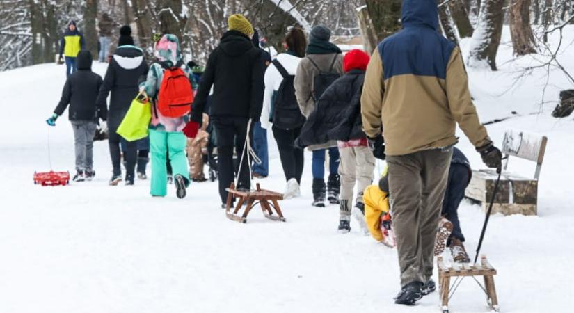 Elkapkodták a szánkókat a boltokból! Mi lesz most? Mennyiért lehet venni? Mikor jön az utánpótlás?