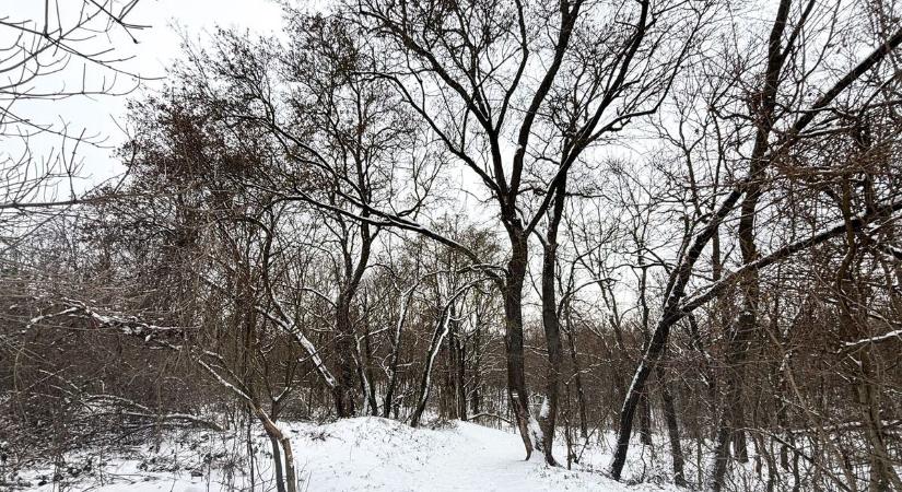 Riasztás van érvényben: brutális hótakaró érkezhet délután