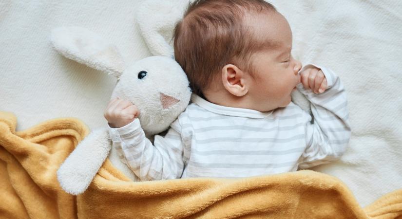 Termékvisszahívás – csecsemőknek szánt tápszer termékek mikrobiológiai nem megfelelősége miatt