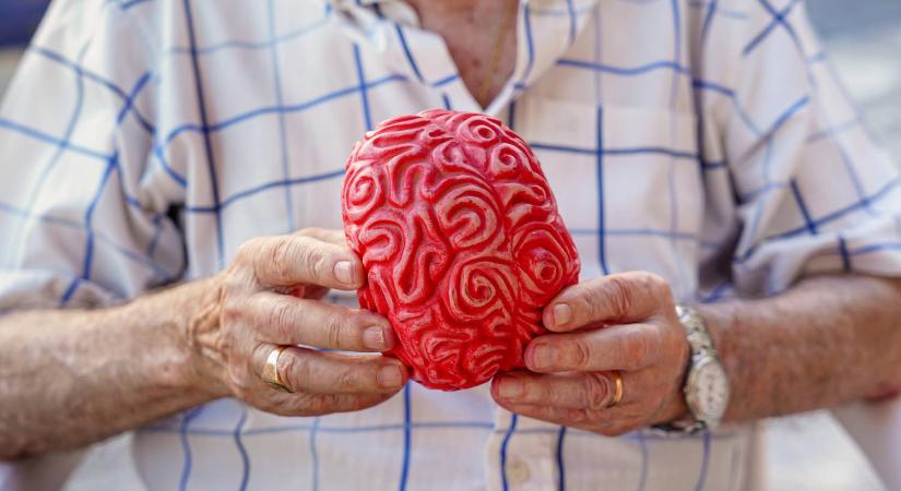 Meglepő összefüggés: növelheti a demencia kozkázatát, ha a nap ezen szakaszában aktív