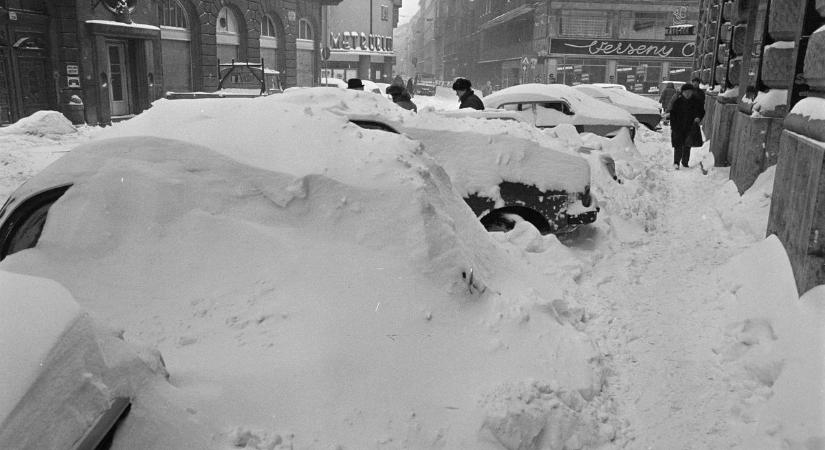 Videón '87 hava, ami leckét adott a sofőröknek, most így vezetni kamikaze akció