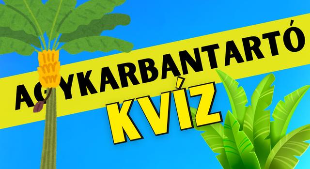 Napi agykarbantartó feladat: Megtalálod a banánfürt helyét a sorban?