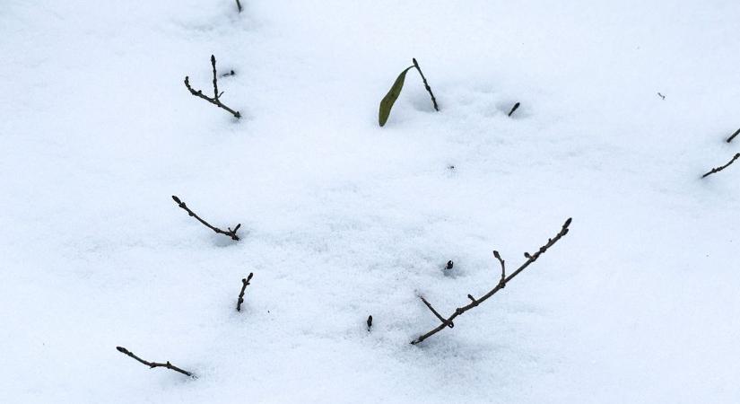 Havas napra ébredünk szerdán is, de ennyivel nem ússzuk meg