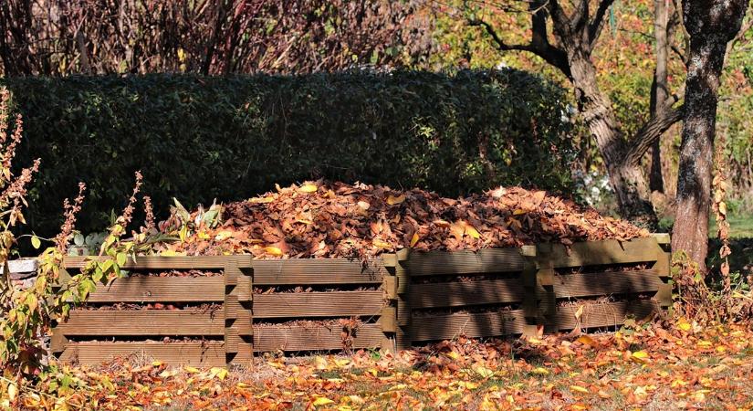 Komposzt januárban: mikor érdemes egyáltalán hozzányúlni?