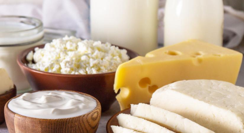 Gyakran veszel sajtot, tejfölt? Jobb, ha tudod, mi derült ki róluk