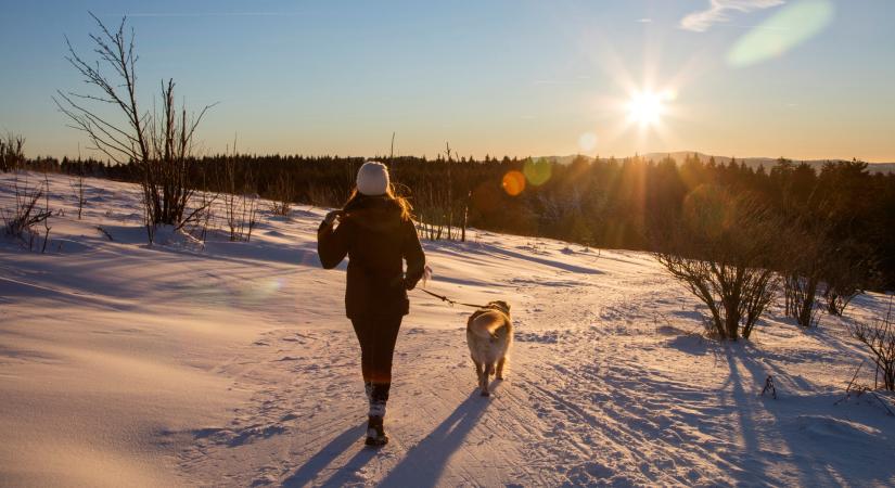 Kardiológus: a legjobb testmozgás, amit a szívünkért tehetünk