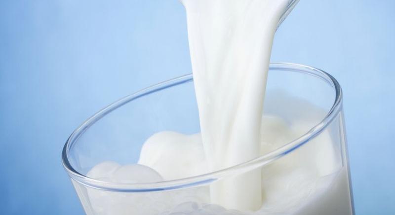 Újabb pályázat segíti a tejtermelő gazdálkodókat