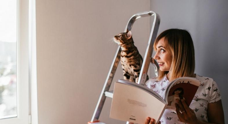 Hogyan óvjuk a kisállatunkat a lakásfelújítás alatt?