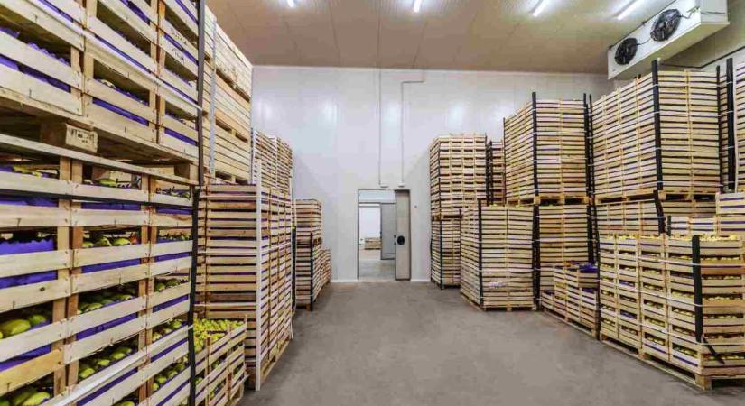 A termények útja – Láthatatlan folyamatok a háttérben