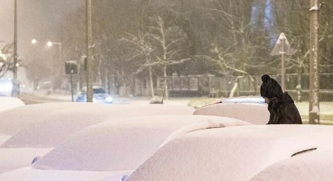 Időjárás-előrejelzés: erősödik a havazás, éjszaka akár 10-20 centiméter hó hullhat