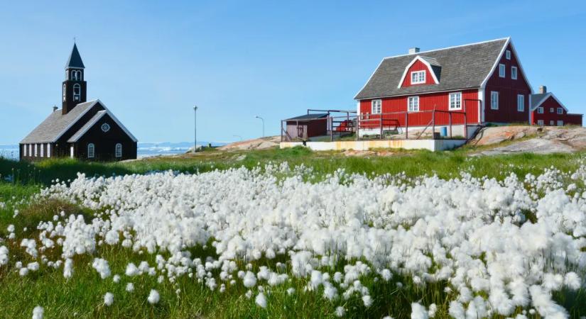 A Fehér Ház Grönlandról: Az amerikai hadsereg bevetése mindig opció